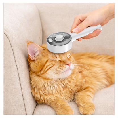 Prrlux™ CloudBrush — The Signature Ritual